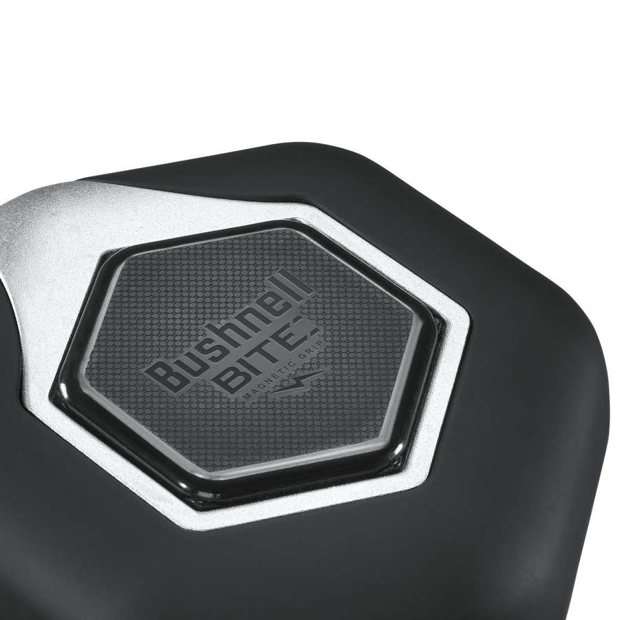 Black/Silver