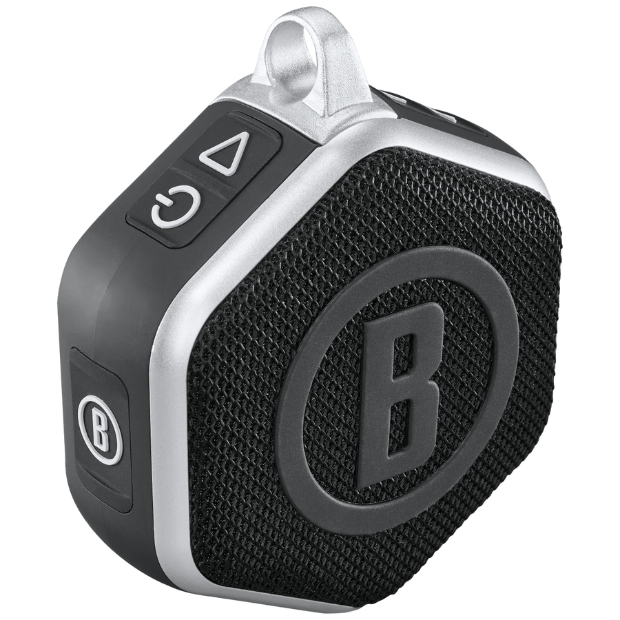 Black/Silver