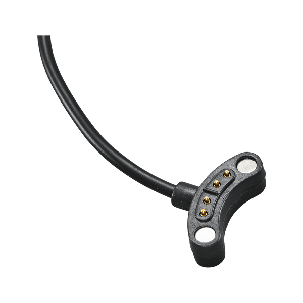 Replacement Charging Cable for iON Edge Detail.
